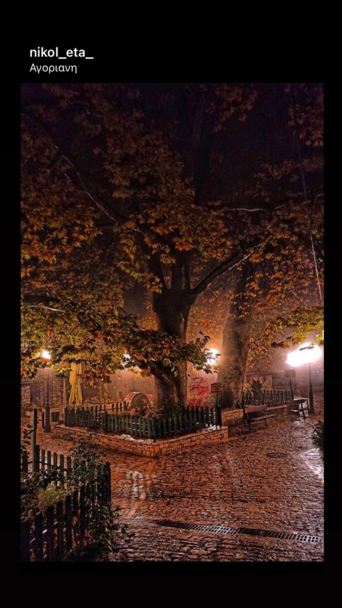 Asimina Guesthouse, Eptalofos Parnassos Exteriér fotografie