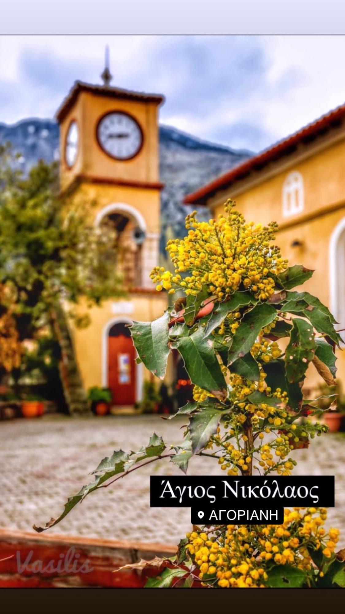 Asimina Guesthouse, Eptalofos Parnassos Exteriér fotografie