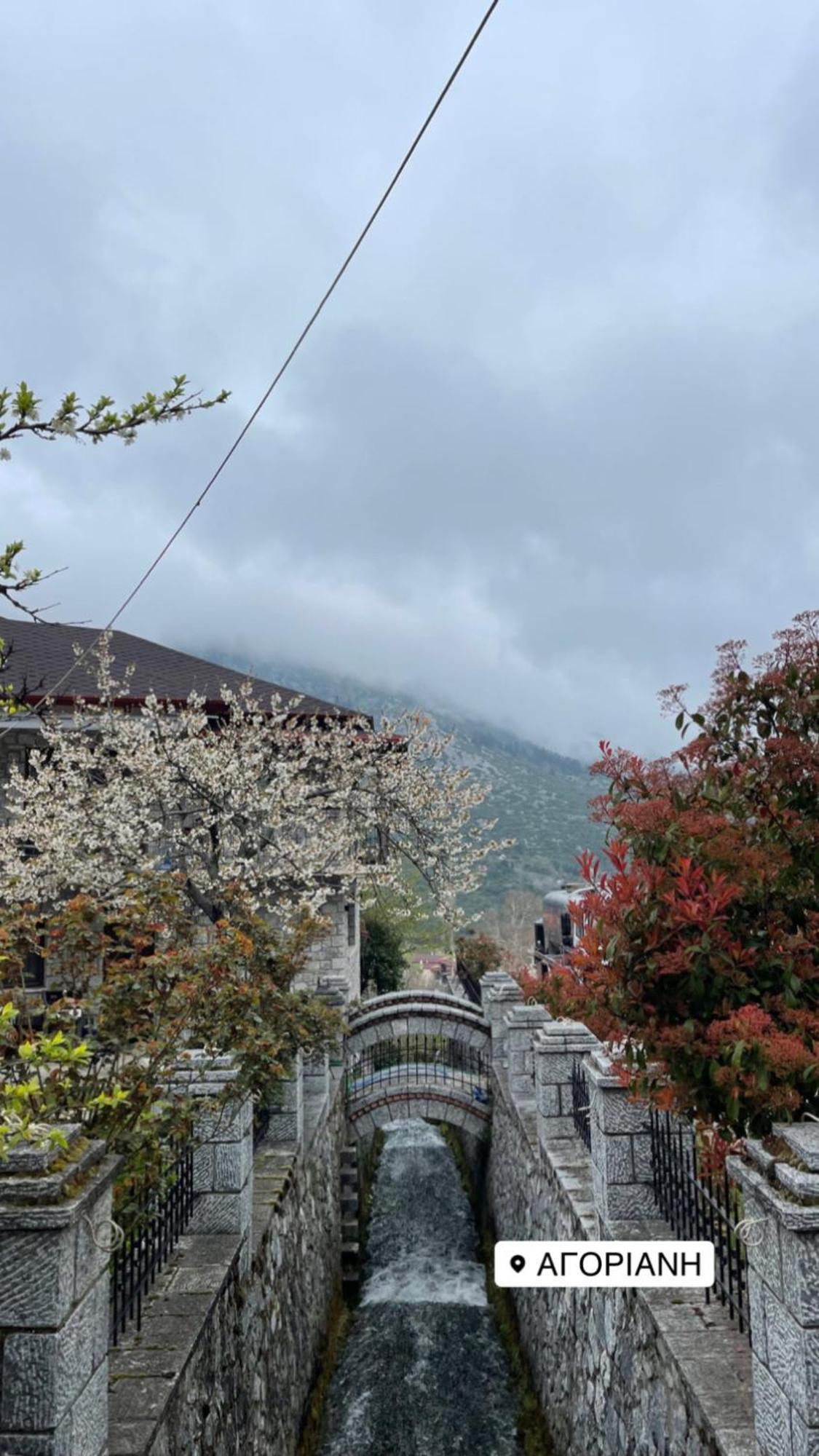 Asimina Guesthouse, Eptalofos Parnassos Exteriér fotografie