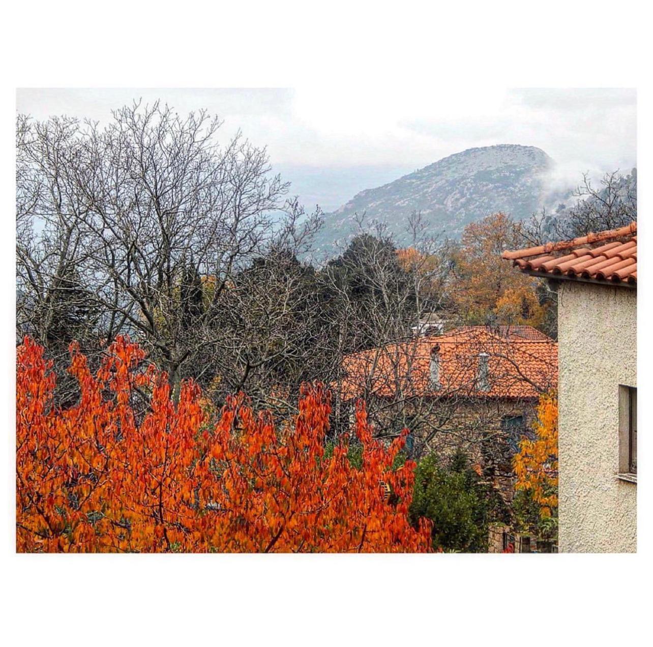 Asimina Guesthouse, Eptalofos Parnassos Exteriér fotografie