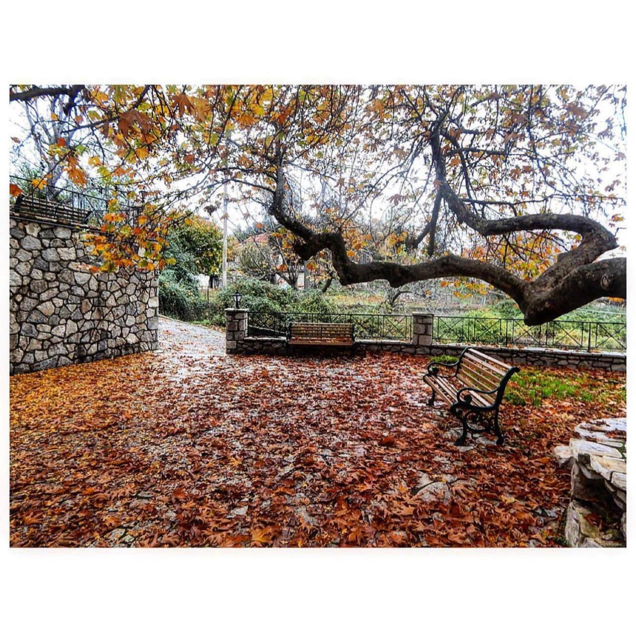 Asimina Guesthouse, Eptalofos Parnassos Exteriér fotografie