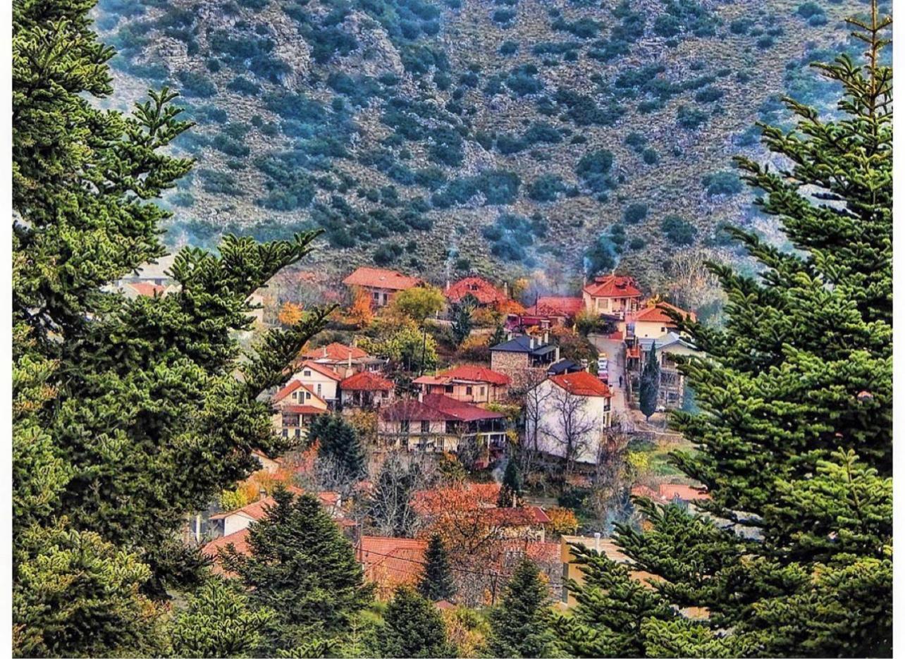 Asimina Guesthouse, Eptalofos Parnassos Exteriér fotografie