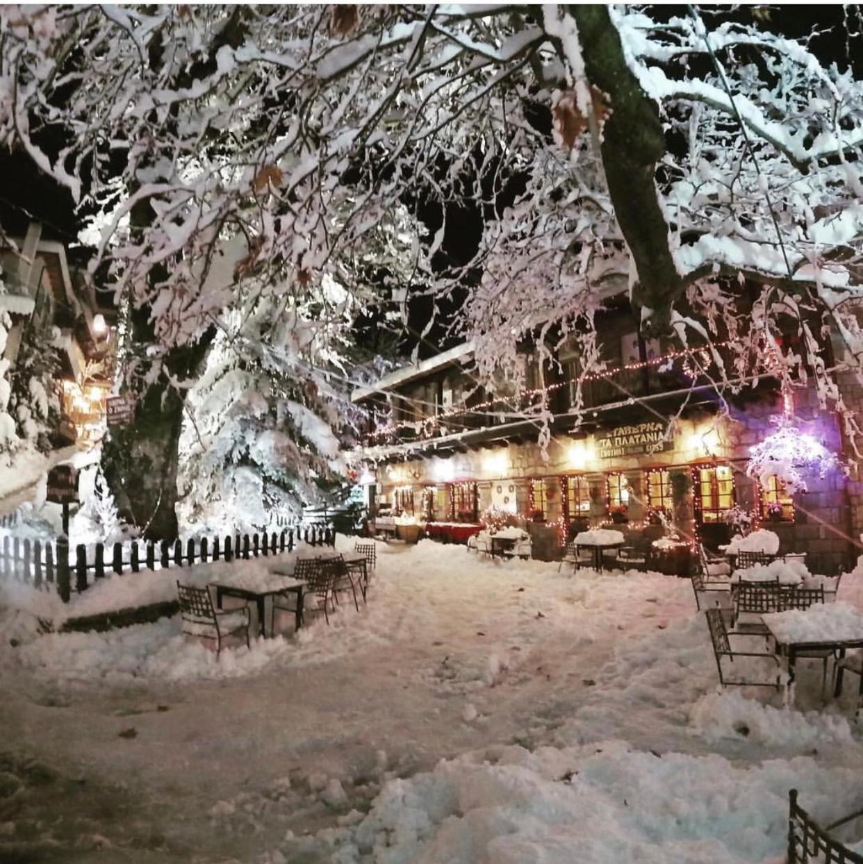 Asimina Guesthouse, Eptalofos Parnassos Exteriér fotografie